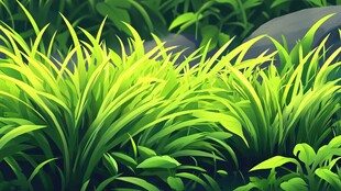 清新绿意草地与岩石景观