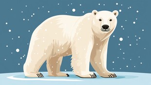 雪地中的可爱北极熊