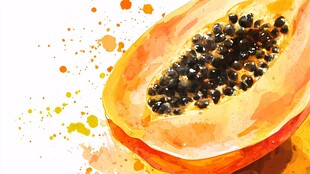 水彩绘木瓜的清新呈现