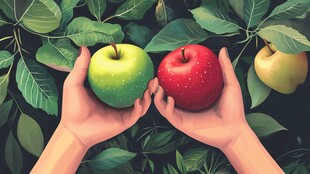 双手捧持青红双苹果