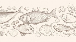 手绘海洋鱼类及海底景象