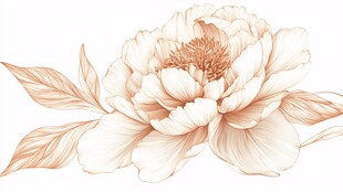 复古风单枝米色牡丹花