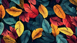 多彩秋叶图案背景纹理