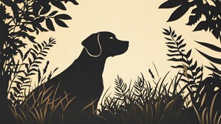 丛林中静卧的狗狗剪影