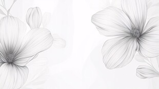 素雅花卉线条画