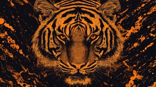 猛虎威严 神秘背景图腾