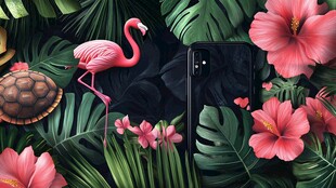 火烈鸟与花卉环绕的手机画面