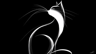 简约线条勾勒的优雅猫咪