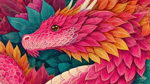 梦幻彩羽龙的绚丽姿态