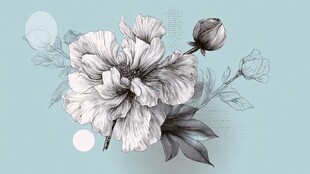 手绘淡雅花卉图案设计