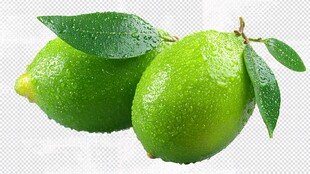 新鲜青柠带叶水润诱人