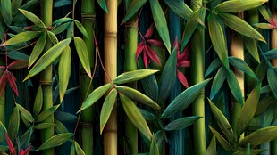 翠绿竹林间的红韵景致