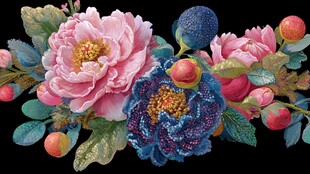 绚丽多彩花卉珠宝装饰图