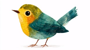 水彩风彩色小鸟插画