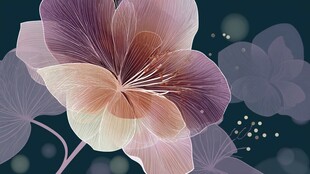 梦幻渐变花朵背景插画