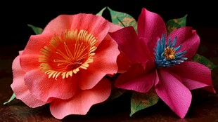 两朵艳丽手工纸艺花卉