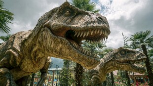 逼真恐龙模型展示于户外