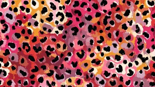 多彩豹纹图案纹理背景