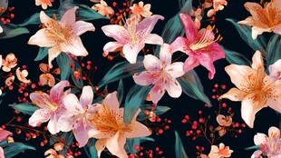 黑色背景上的多彩花卉图案