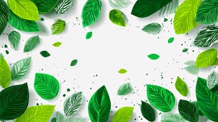 绿叶环绕的清新背景图