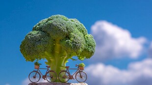 西兰花树旁的梦幻自行车