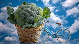 蓝车菜篮 田园风清新组合