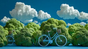 西兰花田野中的复古自行车