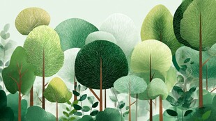 清新梦幻的森林绿植景观