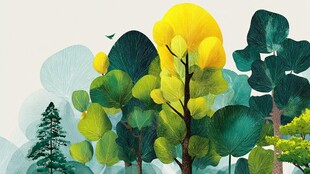 秋日森林风景插画