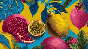 多彩水果插画 视觉盛宴