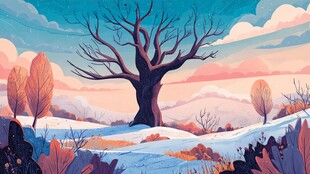 冬日旷野中的孤独老树