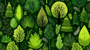 绿色森林树木插画背景图