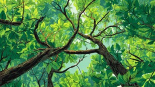 仰视繁茂绿荫树冠