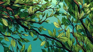 翠绿枝叶间的清新景致