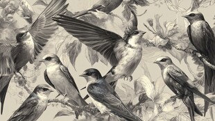 群鸟栖枝黑白艺术插画