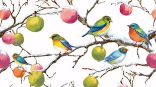 雪枝上的彩鸟与苹果