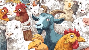 农场动物大集合