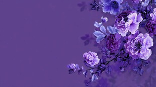 紫色花卉背景图