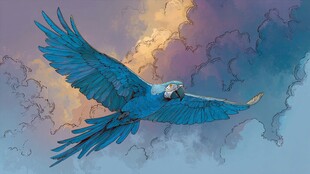 蓝鹦鹉翱翔于彩云之间