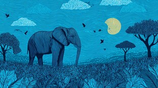月夜下的大象与非洲草原