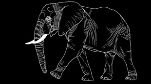 大象线条画 简洁艺术风