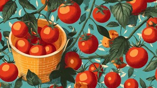 篮中番茄与繁茂枝叶图景