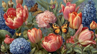 春日花卉与蝴蝶的美丽图景