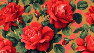 红玫瑰花卉图案背景