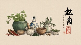 中式传统香料与药草陈列