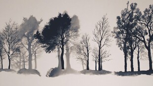 水墨风格树林朦胧景象