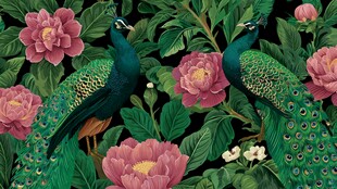 孔雀牡丹图 中式花卉景致