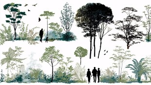 森林漫步场景插画