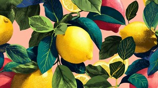 柠檬绿叶构成缤纷水果图案