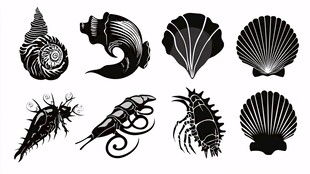 多样贝壳海洋生物图案集